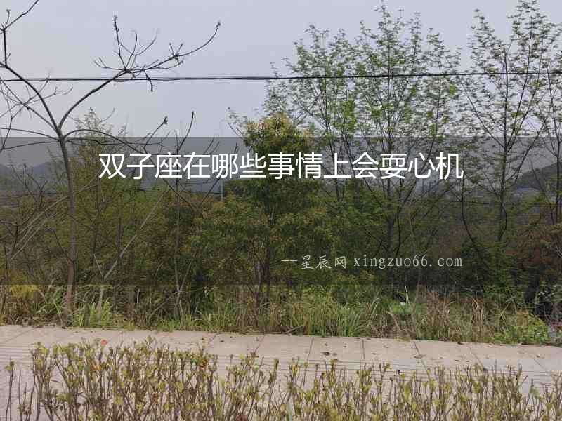 雙子座在哪些事情上會(huì)耍心機(jī)