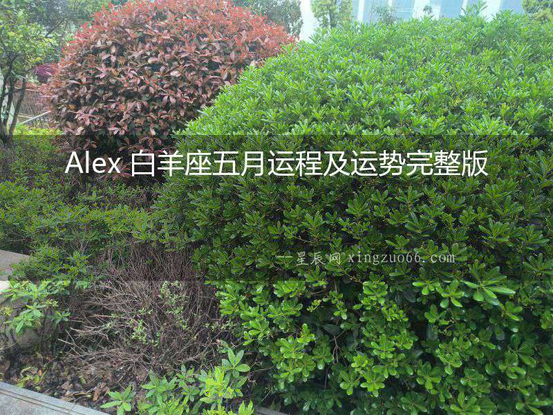 Alex 白羊座五月運程及運勢完整版