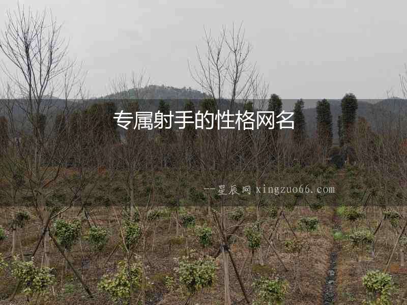 專屬射手的性格網(wǎng)名