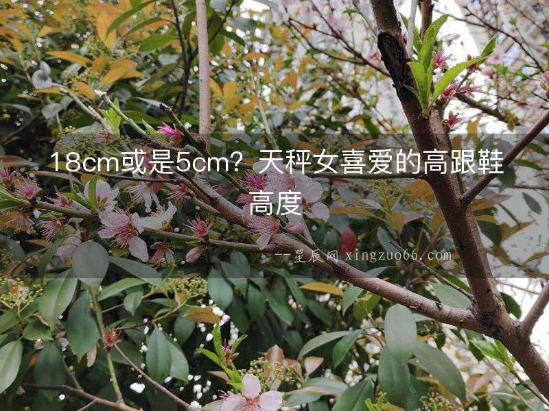 18cm或是5cm？天秤女喜愛的高跟鞋高度