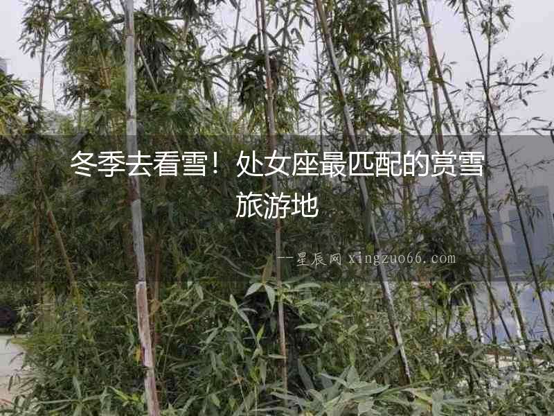 冬季去看雪！處女座最匹配的賞雪旅游地