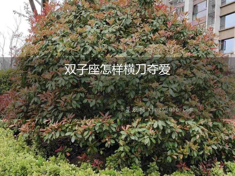 雙子座怎樣橫刀奪愛