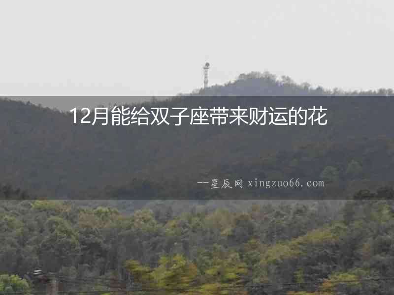12月能給雙子座帶來(lái)財(cái)運(yùn)的花