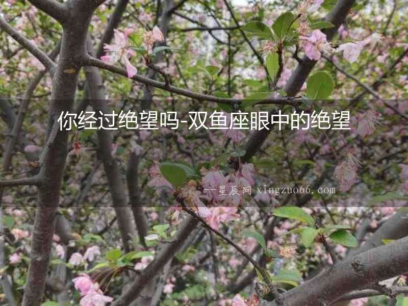你經過絕望嗎-雙魚座眼中的絕望