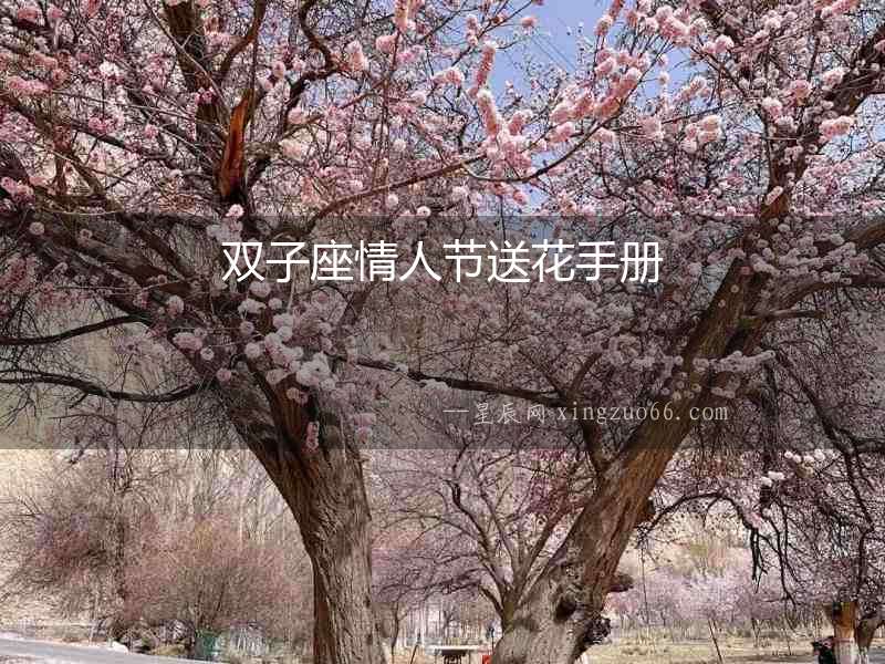 雙子座情人節(jié)送花手冊