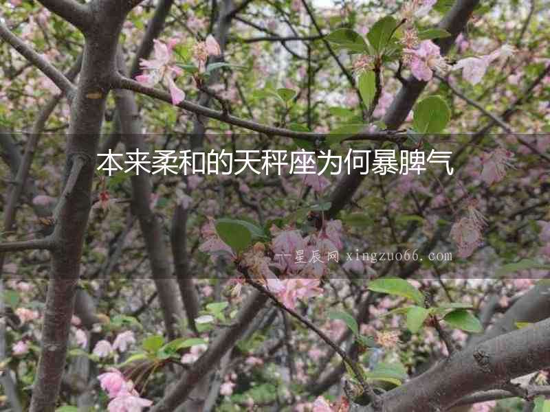 本來柔和的天秤座為何暴脾氣