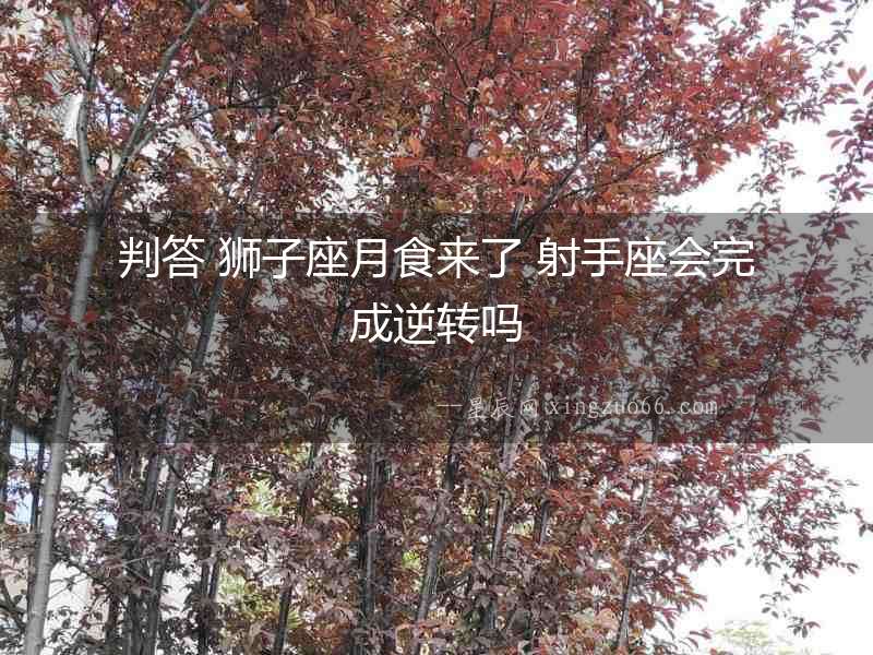 判答 獅子座月食來了 射手座會完成逆轉嗎