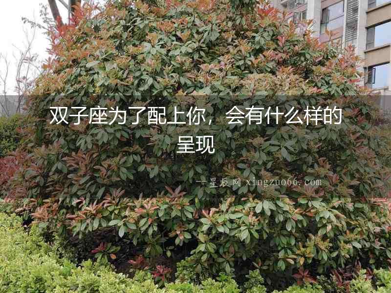 雙子座為了配上你，會有什么樣的呈現(xiàn)