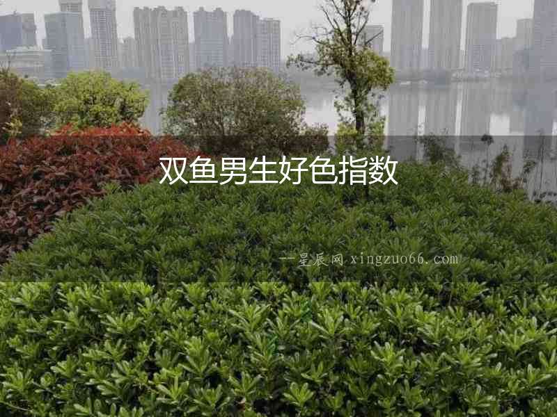 雙魚男生好色指數(shù)