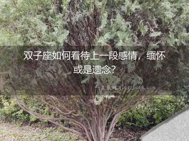 雙子座如何看待上一段感情，緬懷或是遺念？
