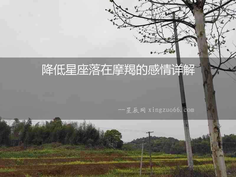 降低星座落在摩羯的感情詳解
