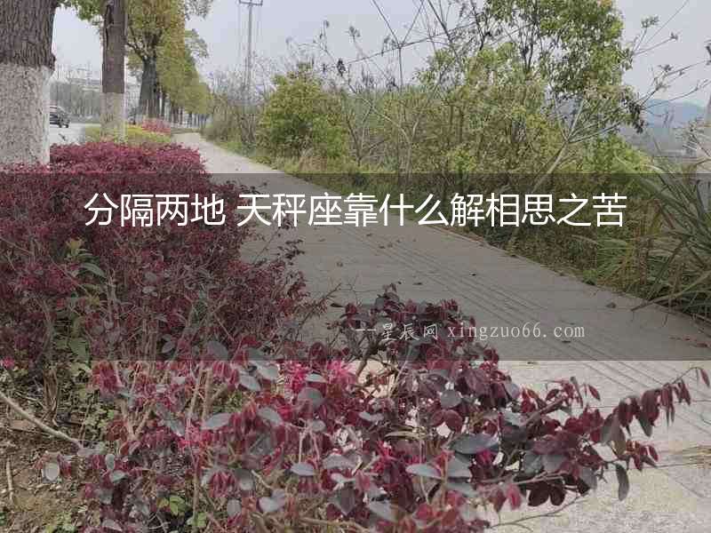 分隔兩地 天秤座靠什么解相思之苦