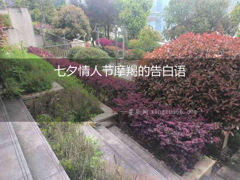 七夕情人節(jié)摩羯的告白語
