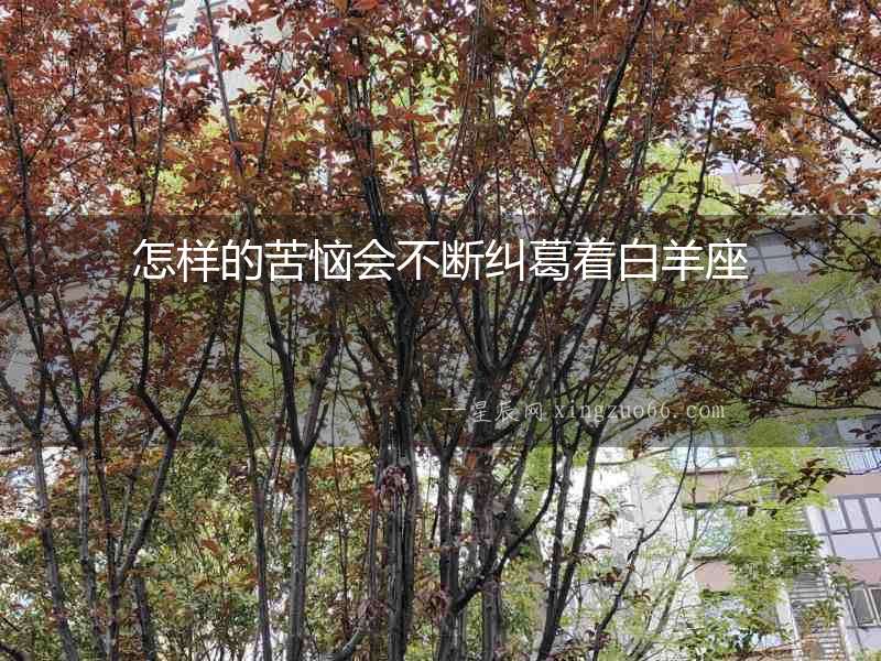怎樣的苦惱會不斷糾葛著白羊座
