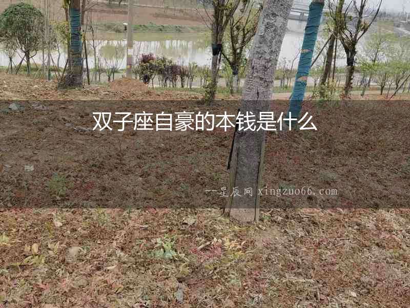 雙子座自豪的本錢(qián)是什么
