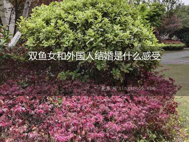 雙魚女和外國人結(jié)婚是什么感受