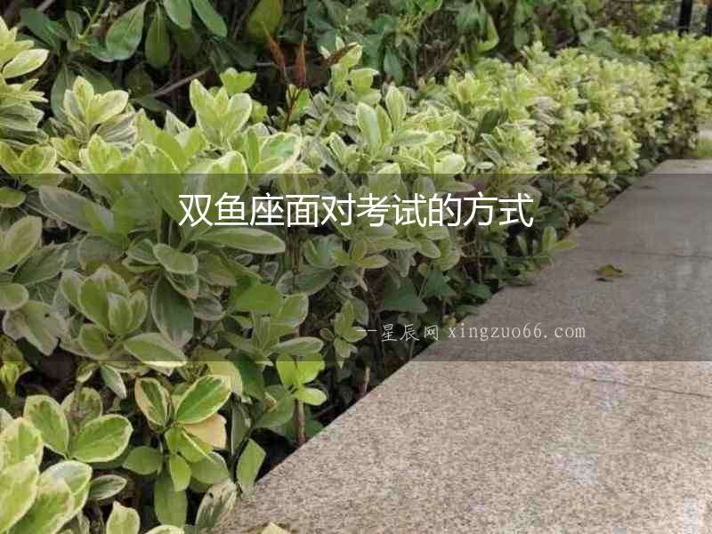 雙魚座面對考試的方式