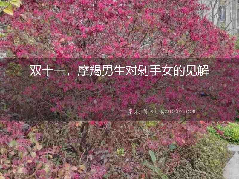 雙十一，摩羯男生對剁手女的見解