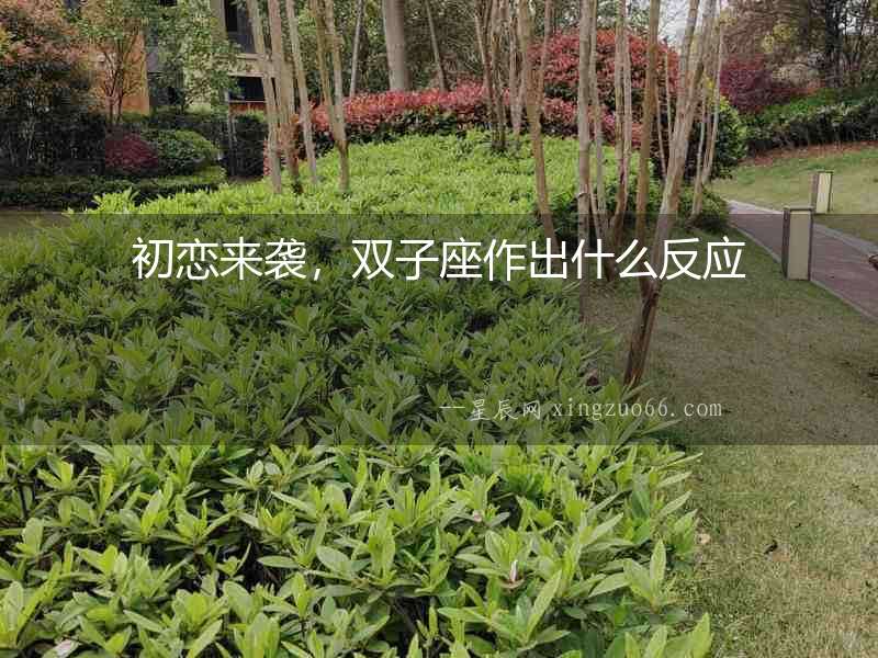 初戀來襲，雙子座作出什么反應