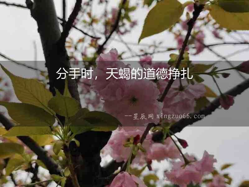 分手時，天蝎的道德掙扎