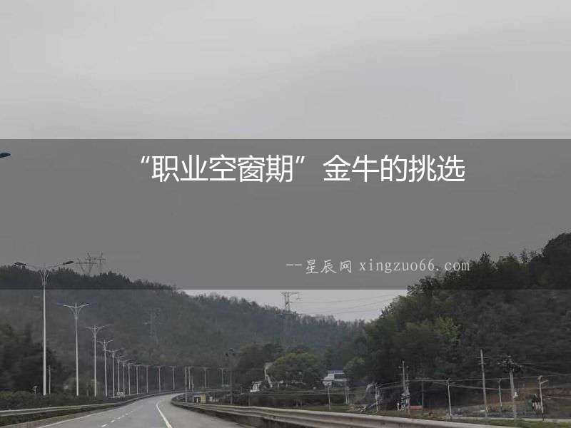 “職業(yè)空窗期”金牛的挑選