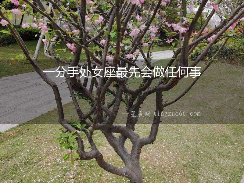 一分手處女座最先會(huì)做任何事
