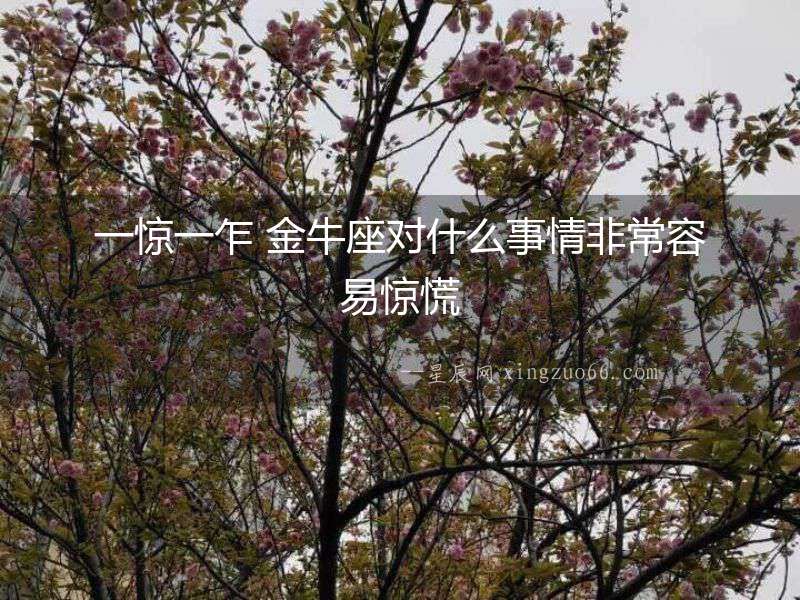 一驚一乍 金牛座對什么事情非常容易驚慌