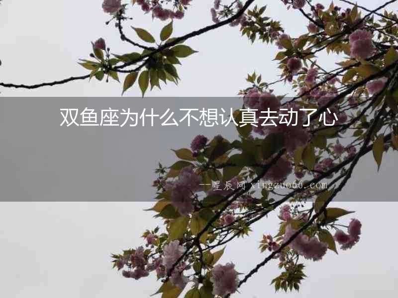 雙魚座為什么不想認真去動了心