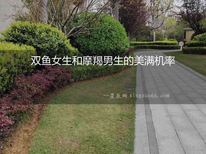 雙魚(yú)女生和摩羯男生的美滿(mǎn)機(jī)率