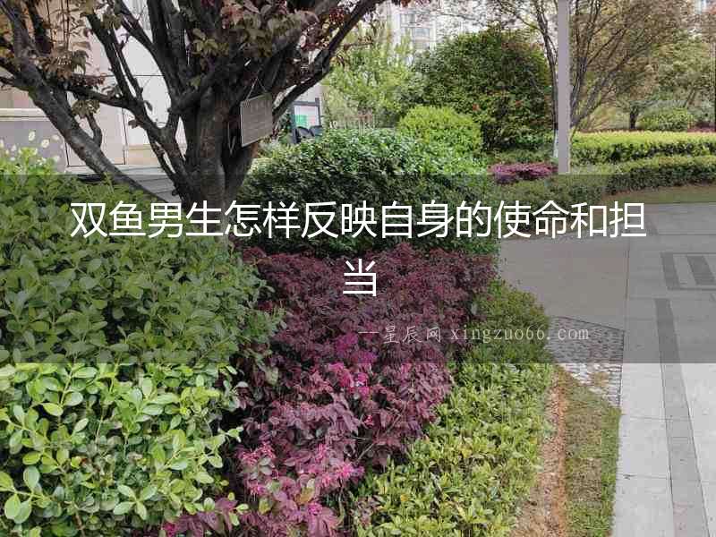 雙魚(yú)男生怎樣反映自身的使命和擔(dān)當(dāng)
