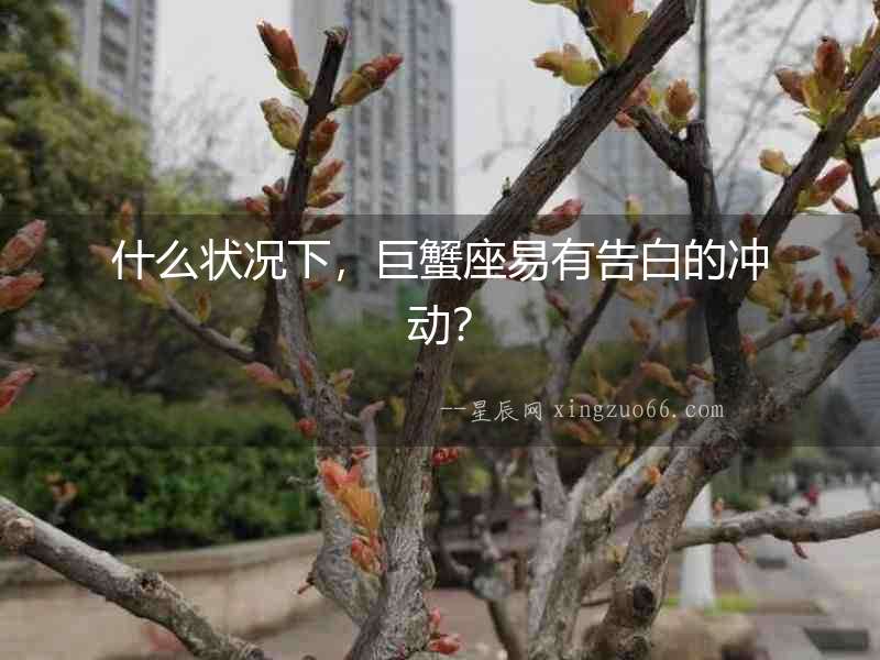什么狀況下，巨蟹座易有告白的沖動(dòng)？