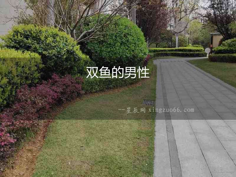 雙魚的男性