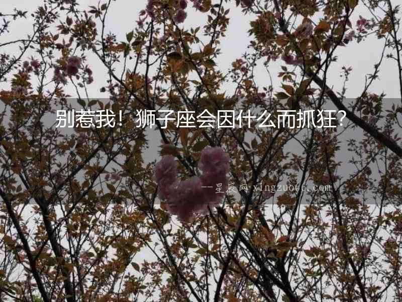 別惹我！獅子座會(huì)因什么而抓狂？