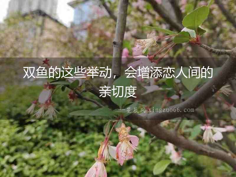雙魚的這些舉動(dòng)，會(huì)增添戀人間的親切度