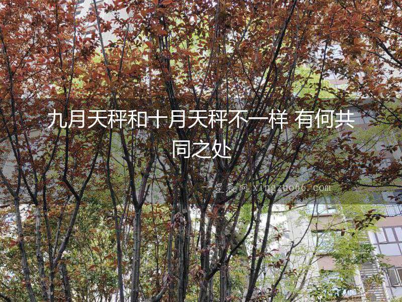九月天秤和十月天秤不一樣 有何共同之處