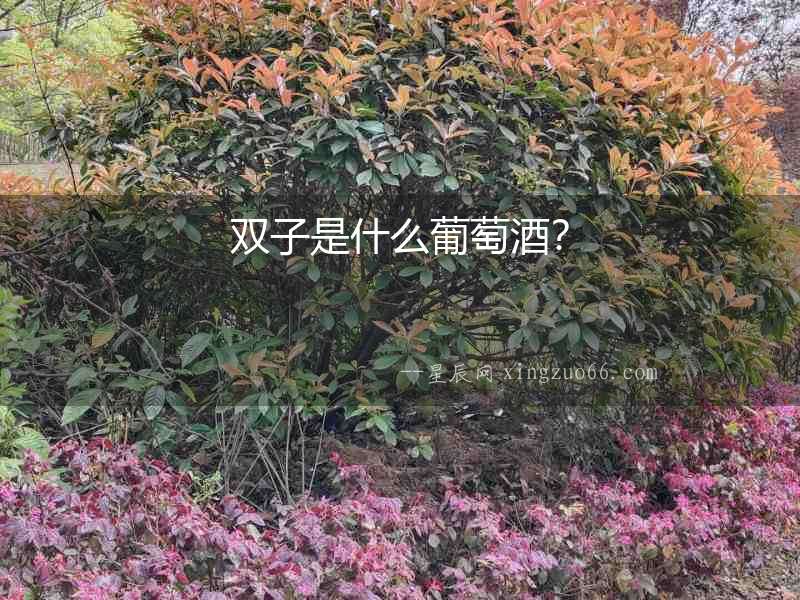 雙子是什么葡萄酒？