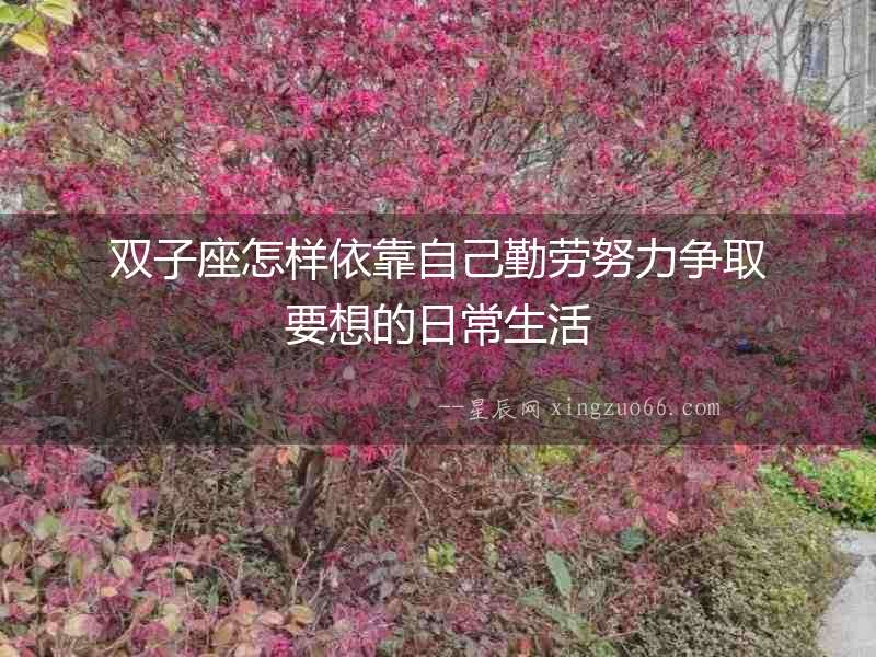 雙子座怎樣依靠自己勤勞努力爭取要想的日常生活