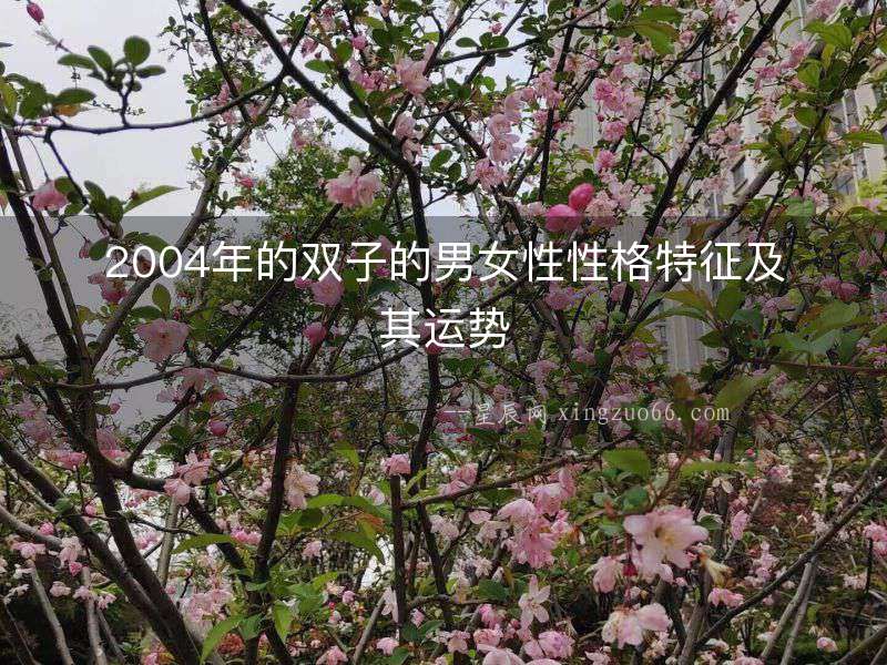 2004年的雙子的男女性性格特征及其運(yùn)勢