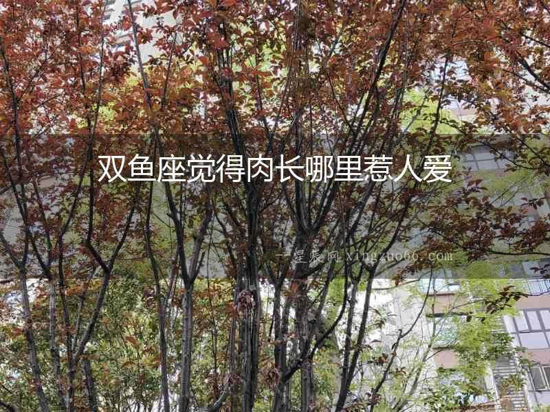 雙魚(yú)座覺(jué)得肉長(zhǎng)哪里惹人愛(ài)