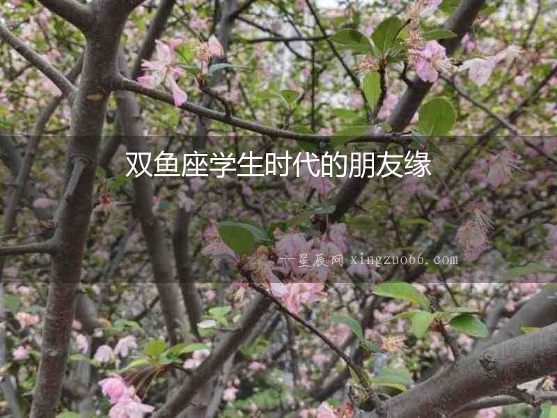 雙魚座學生時代的朋友緣