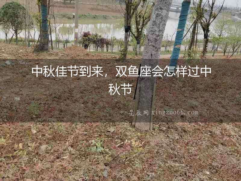 中秋佳節(jié)到來，雙魚座會(huì)怎樣過中秋節(jié)