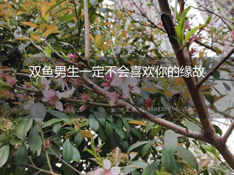 雙魚(yú)男生一定不會(huì)喜歡你的緣故