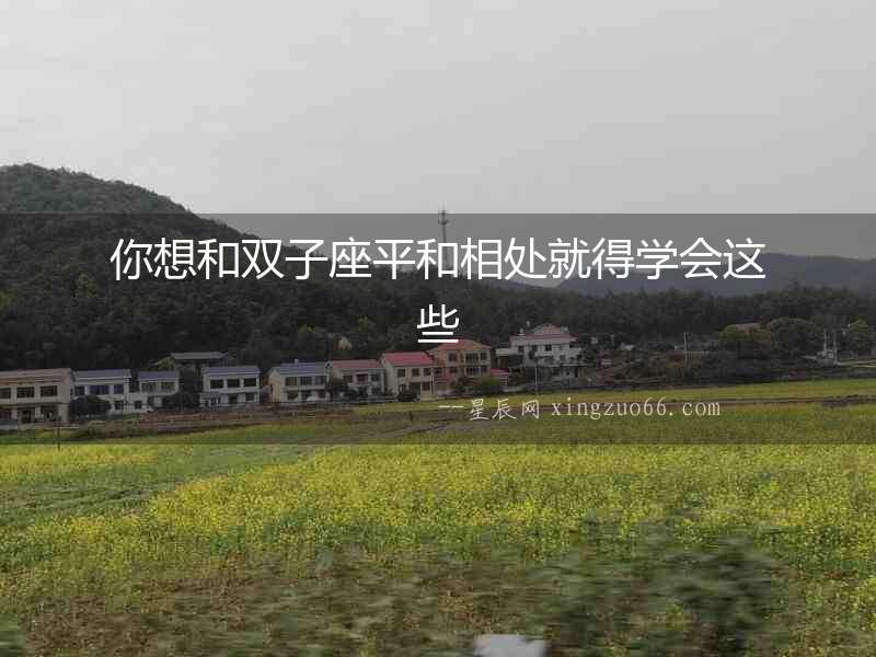 你想和雙子座平和相處就得學會這些