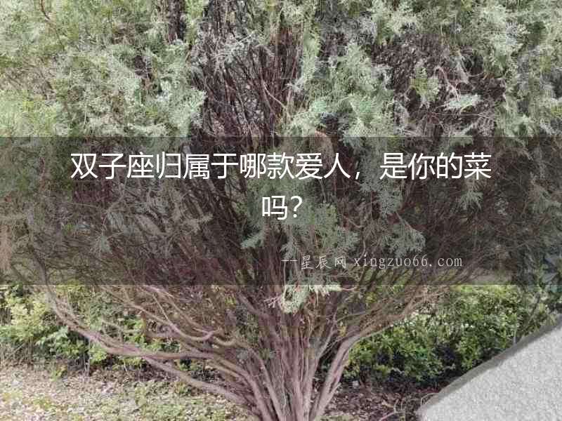 雙子座歸屬于哪款?lèi)?ài)人，是你的菜嗎？