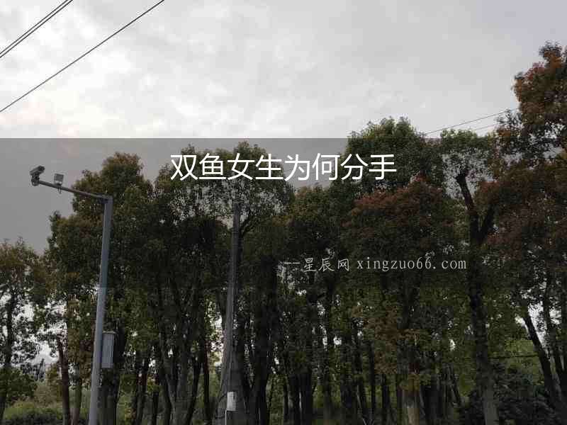 雙魚女生為何分手