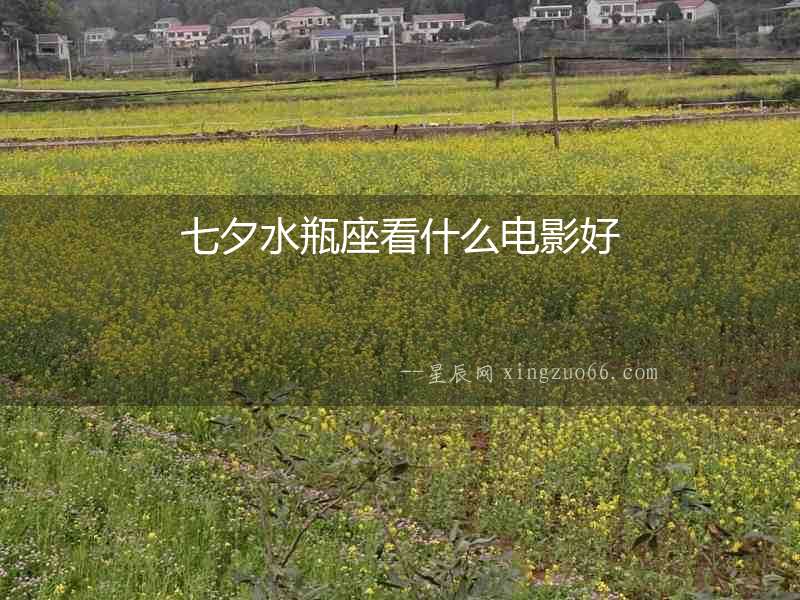 七夕水瓶座看什么電影好