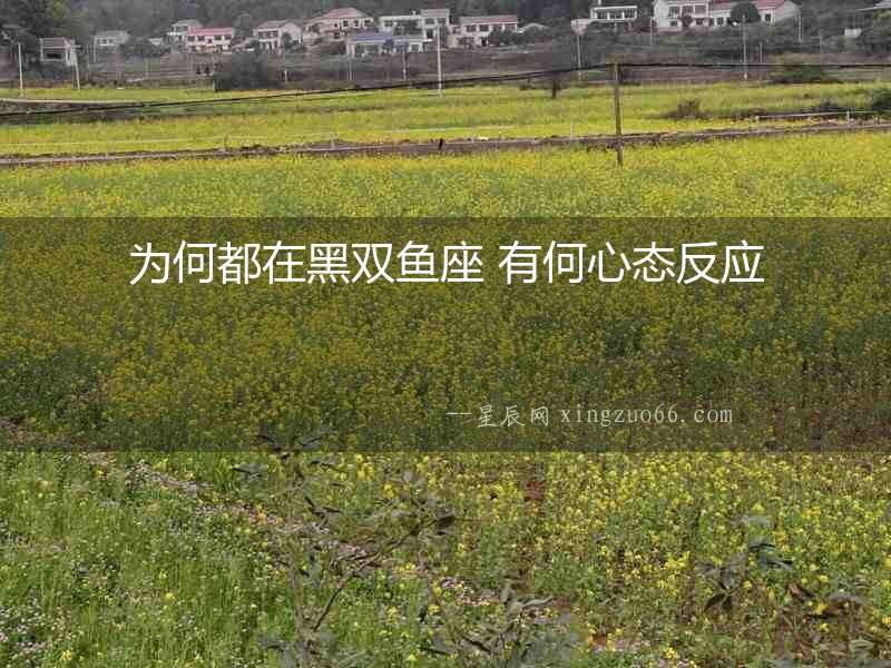 為何都在黑雙魚座 有何心態反應