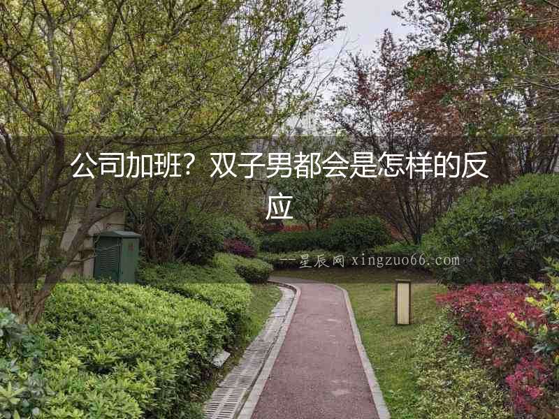 公司加班？雙子男都會是怎樣的反應(yīng)