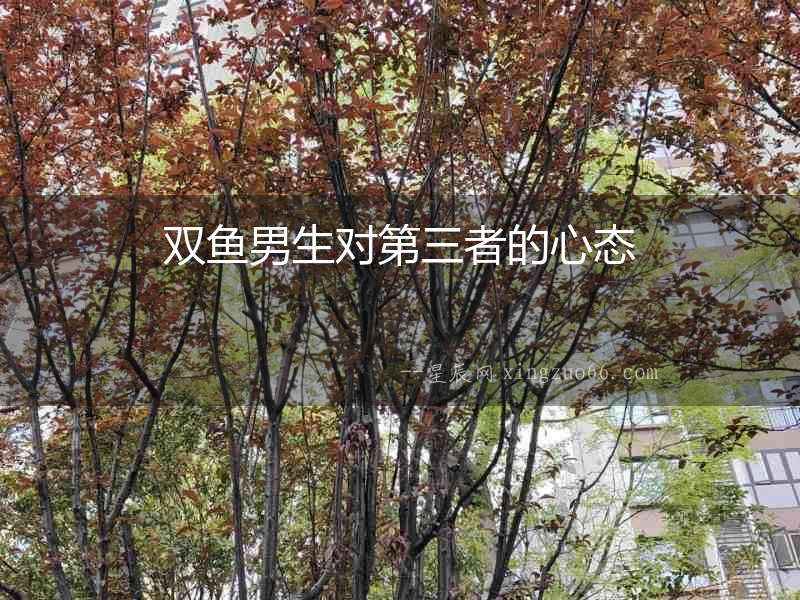雙魚男生對第三者的心態
