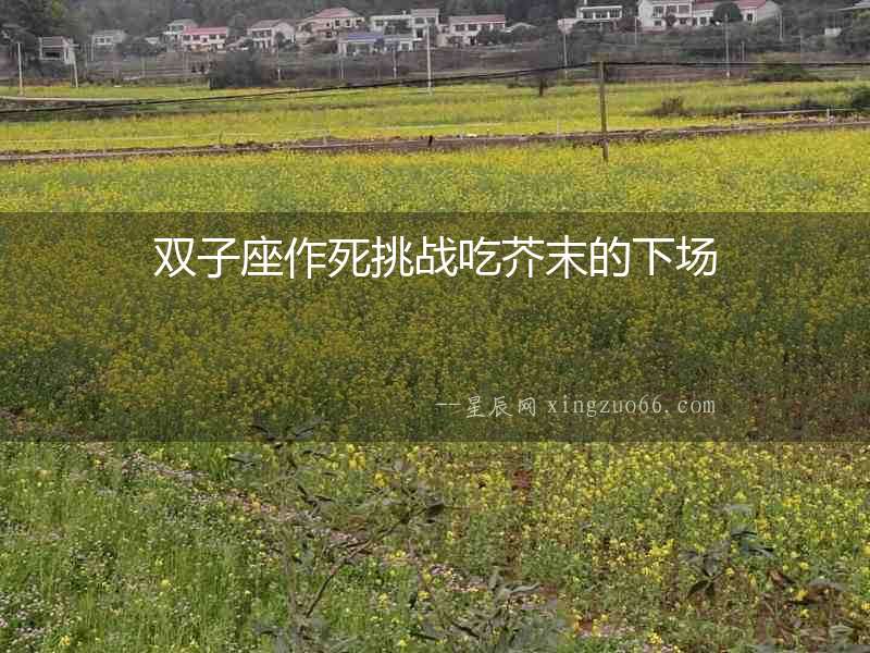 雙子座作死挑戰吃芥末的下場
